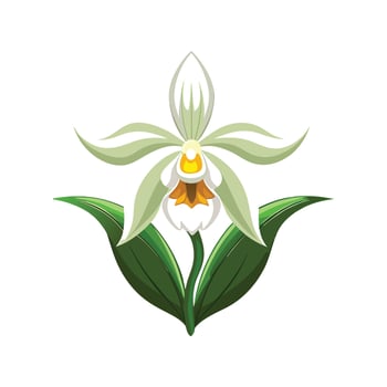 Elegant Ghost Orchid Flower Design vector