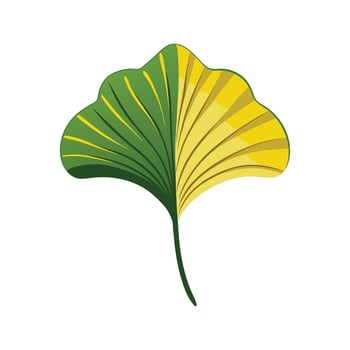 Stunning Ginkgo Biloba Leaf Illustration vector