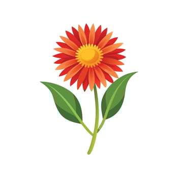 Vibrant Hawkweed Plant Illustration vector