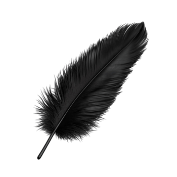 Another Black Feather transparent background png