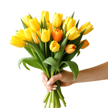 Cheerful Yellow Tulips Close Up Stunning Flower Photography for Sale png