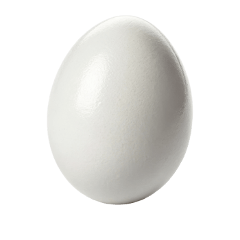 smooth, white egg on transparency background, perfect for culinary themes png