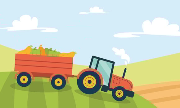 Tractor with Trailer of Vegetables Drives on Field vector