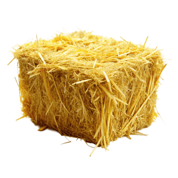 A bale of golden hay straw isolated on grey background agriculture farming harvest rural countryside png