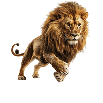 Majestic Lion Walking in the Wild png