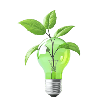 Fresh Green Leaves in Lightbulb png