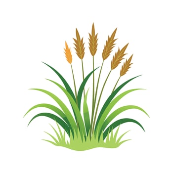 Nutritious Monkey Grass for Gardens vector