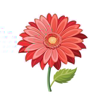 Elegant Opening Gerbera Flower for Decor vector