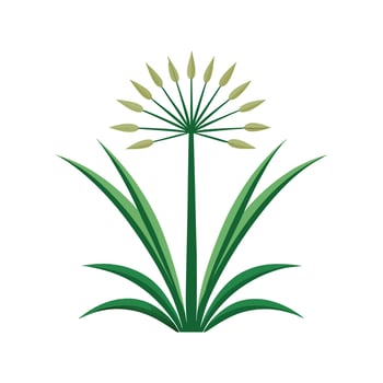 Elegant Cyperus Papyrus Plant vector