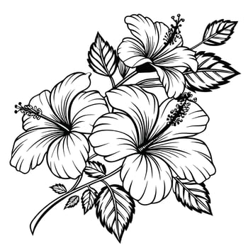 black and white line art illustration of a hibiscus flower and leaves. vector