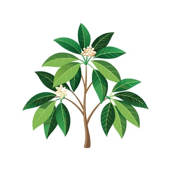 Charming Amate Schefflera Artwork vector