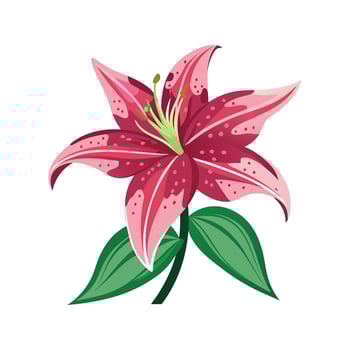 Stylish Star Gazer Lily for Artistic Uses vector