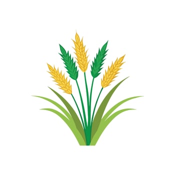 Elegant Melinis Grass for Nature Decor vector