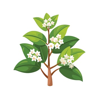 Stylish Hoya Wax Plant for Creative Projects vector