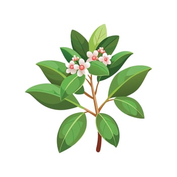 Beautiful Hoya Wax Plant for Nature Art vector