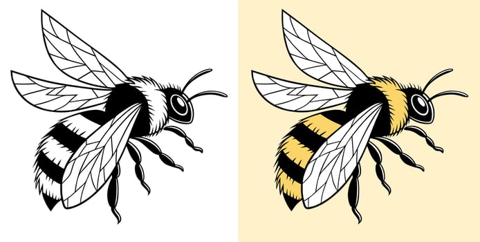 Bee Color and Line Art Illustration vector