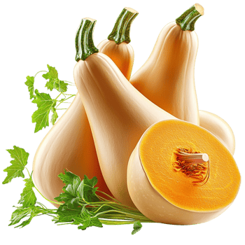 ly cut butternut squash with orange flesh png