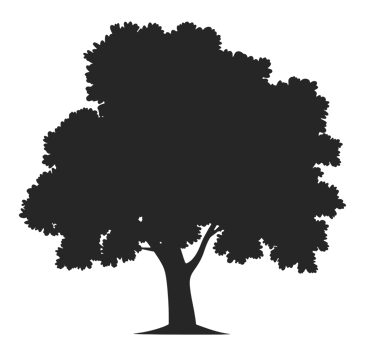 Summer Tree Silhouette, Cut Out png