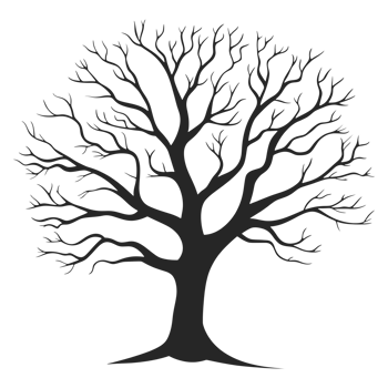Silhouette of a Tree in Winter png