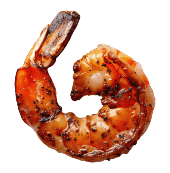 Grilled shrimp, cut out png
