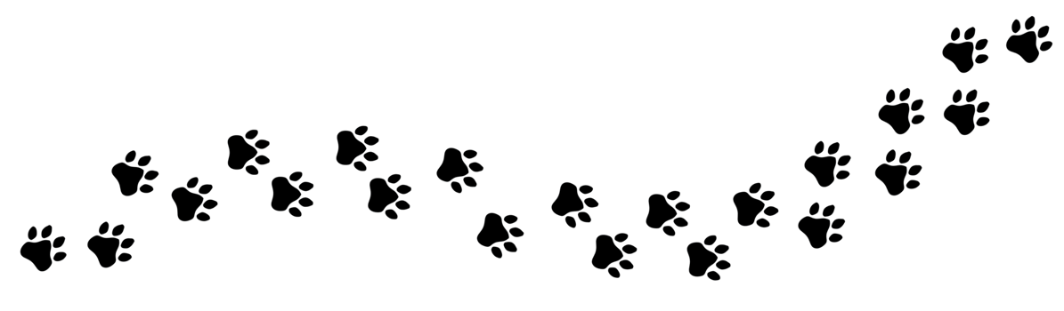 Isolated trail of black footprints, comics silhuoette shapes of a cat paw or a similar animal, going from the left to the right, horizontal orientation. png