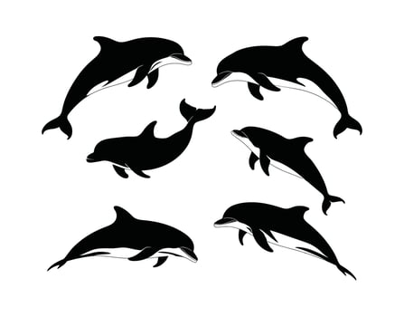 Modern Dolphin Silhouette Set Template Illustration vector
