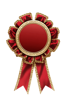 Blank red award rosette with gold trim. Perfect for adding your own text or design. png