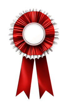 Red award ribbon rosette with blank center for text. png