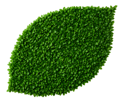 Green Grass Isolated Transparent Background With Gradient Mesh, Illustration png