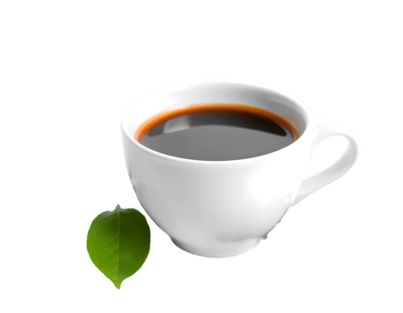 Cup of coffee with green leaf isolated on transparent background png