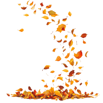 Falling autumn leaves isolated, white background, perfect for design projects png