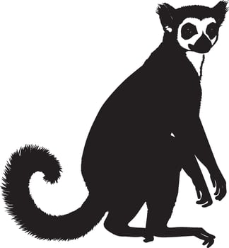 Lemur on High Alert Body standing upright with ears raised, tail extended, and fully aware of its surroundings. Full-length silhouette black design. vector