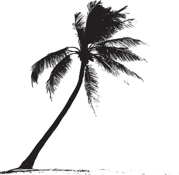 Tilted Palm Tree A trunk that leans gently to one side, with fronds extending from the top at a diagonal angle. Full-length silhouette black design. vector