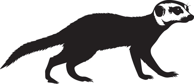 Meerkat Walking Body low to the ground, moving on all fours, tail extended behind. full length silhouette black illustration vector