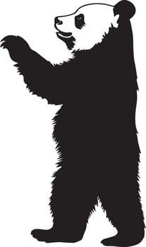Panda in an Upright Position Body standing tall with arms extended, reaching for food or observing its surroundings. Full-length silhouette black design. vector