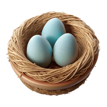 beautiful contemporary Bird Nest with Eggs Isolated on Transparent Background authentic png