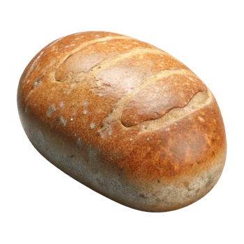 wonderful classic Bread Loaf Isolated with Crusty Texture high quality png