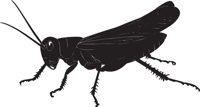 Grasshopper Crawling Body low to the ground with legs extended and moving in a rhythmic pattern. full length silhouette black illustration vector