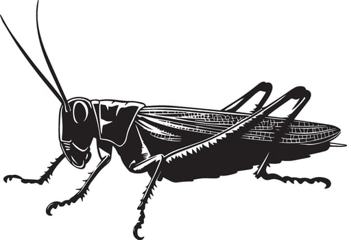 Black illustration of a grasshopper moving low to the ground, legs stretched out. vector