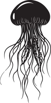Jellyfish Floating Body bell-shaped and translucent with tentacles trailing below, gently drifting in the water. full length silhouette black illustration vector