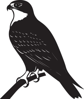 Falcon at rest perched on a surface or the ground, wings folded, and body motionless in a full-length silhouette. vector
