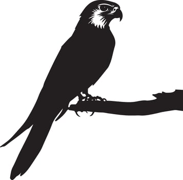 Falcon perched sitting upright on a branch or ledge, head tilted slightly in a full-length silhouette. vector