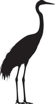 Crane Standing Body upright long neck extended legs straight wings folded. full length silhouette black illustration vector