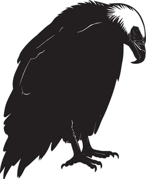 Vulture Resting Body hunched wings folded head tucked in. full length silhouette black illustration vector
