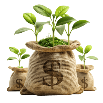 Financial Growth, Seedlings sprout from burlap money bags, symbolizing the growth of investment, set against a simple background, representing financial concepts. png