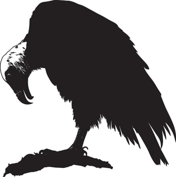 Vulture in action head down, tearing into food with wings slightly lifted for balance in a complete silhouette illustration. vector