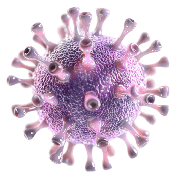 Microscopic view of a virus with a spiky and detailed structure png
