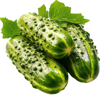 green cucumbers with a textured skin and leafy stems attached png