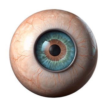 stunning abstract Detailed Human Eye Close Up View Cutout exclusive png