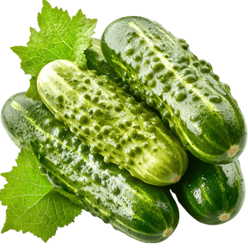 green cucumbers with leaves attached png